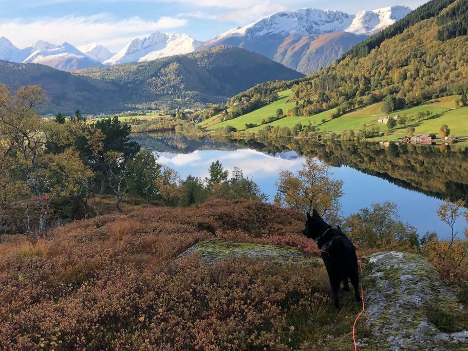 Lägenhet Minihus Med Drommeutsikt Til Sunnmorsalpene